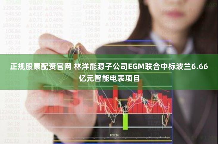 正规股票配资官网 林洋能源子公司EGM联合中标波兰6.66亿元智能电表项目