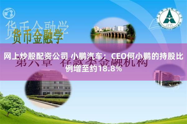 网上炒股配资公司 小鹏汽车：CEO何小鹏的持股比例增至约18.8%