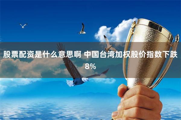 股票配资是什么意思啊 中国台湾加权股价指数下跌8%