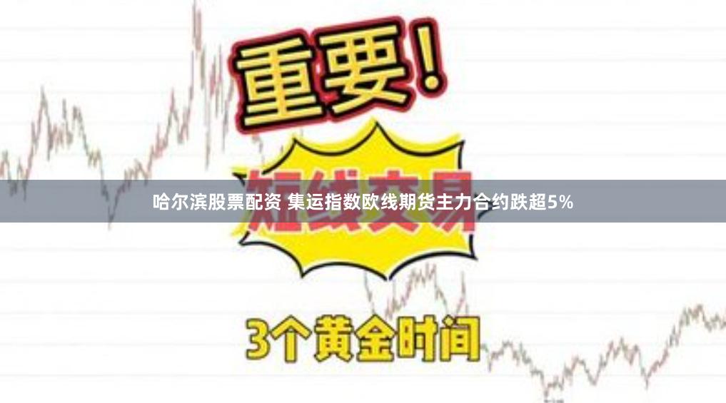 哈尔滨股票配资 集运指数欧线期货主力合约跌超5%