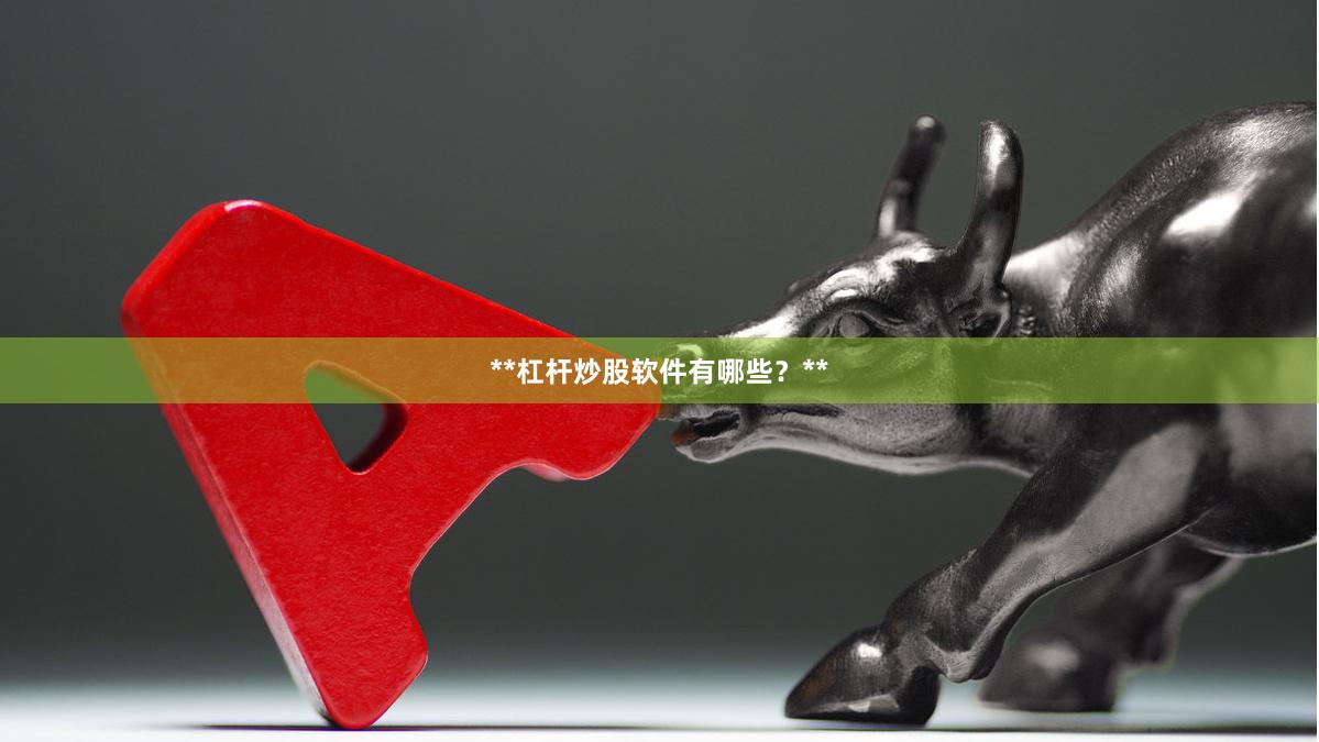 **杠杆炒股软件有哪些？**